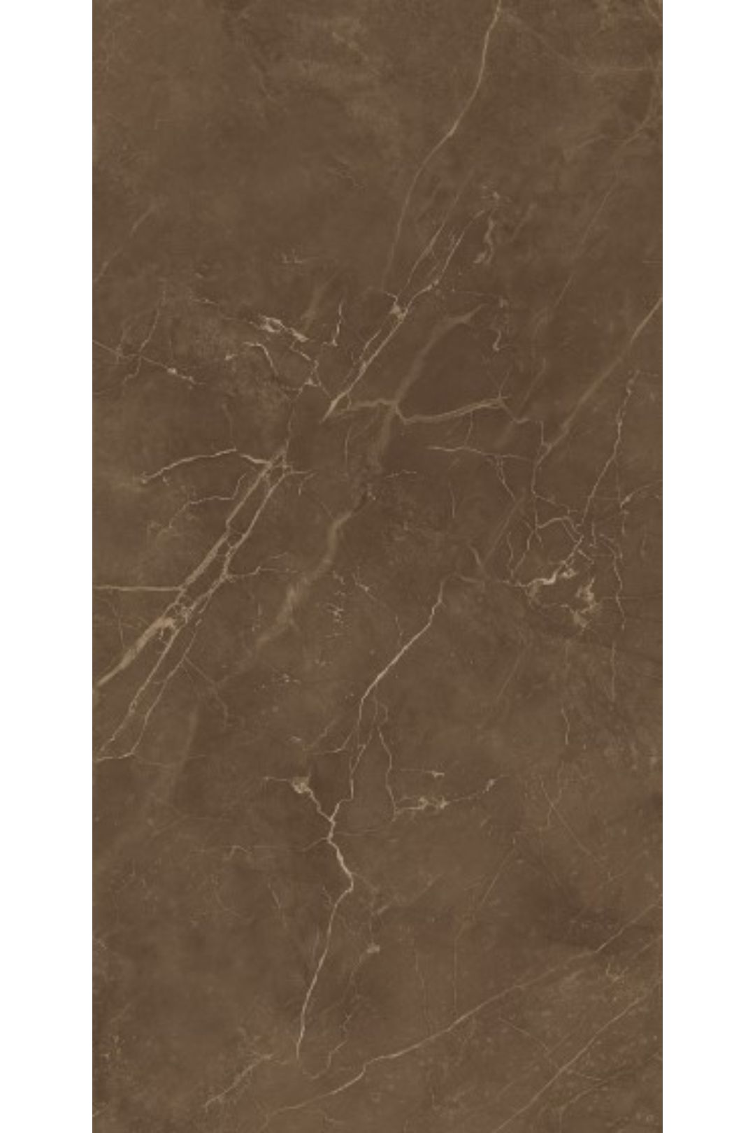 BRONZE ARMANI