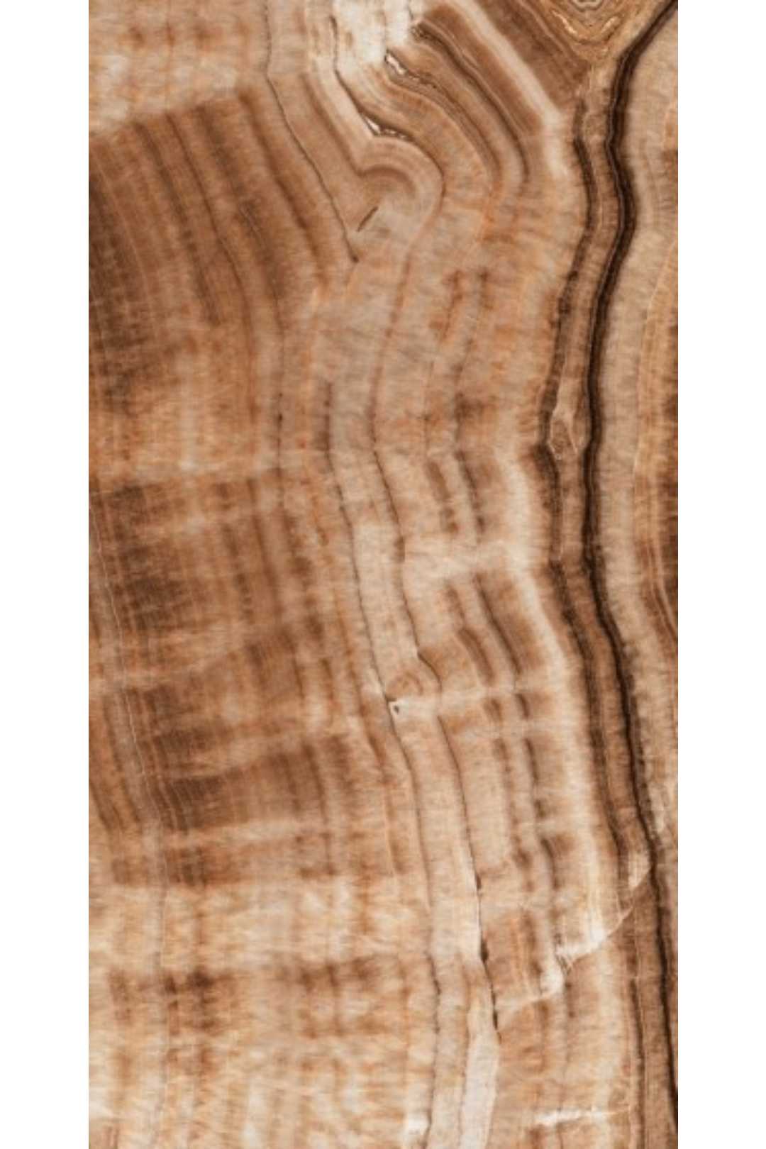 TIGER ONYX