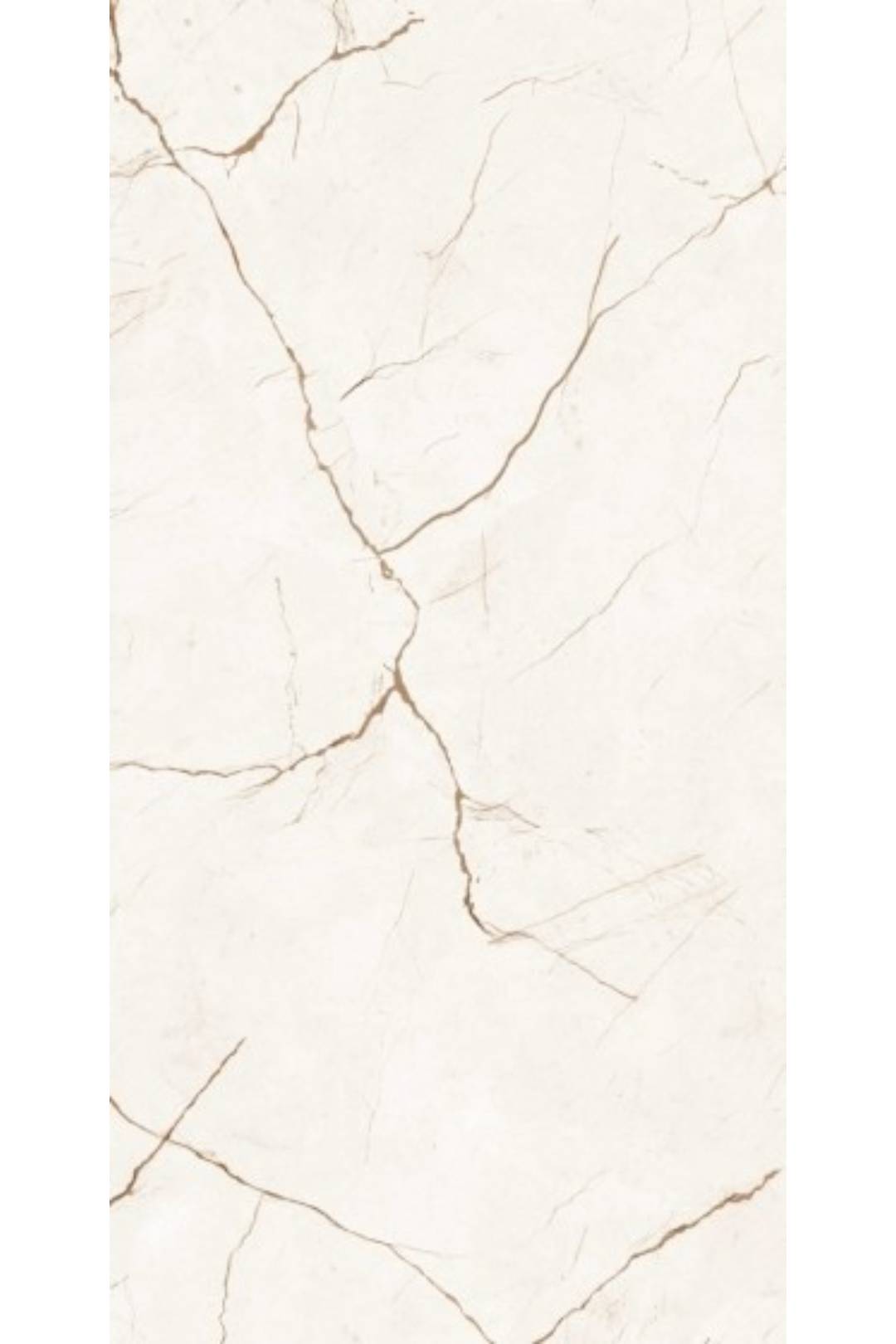 APOLIS IVORY