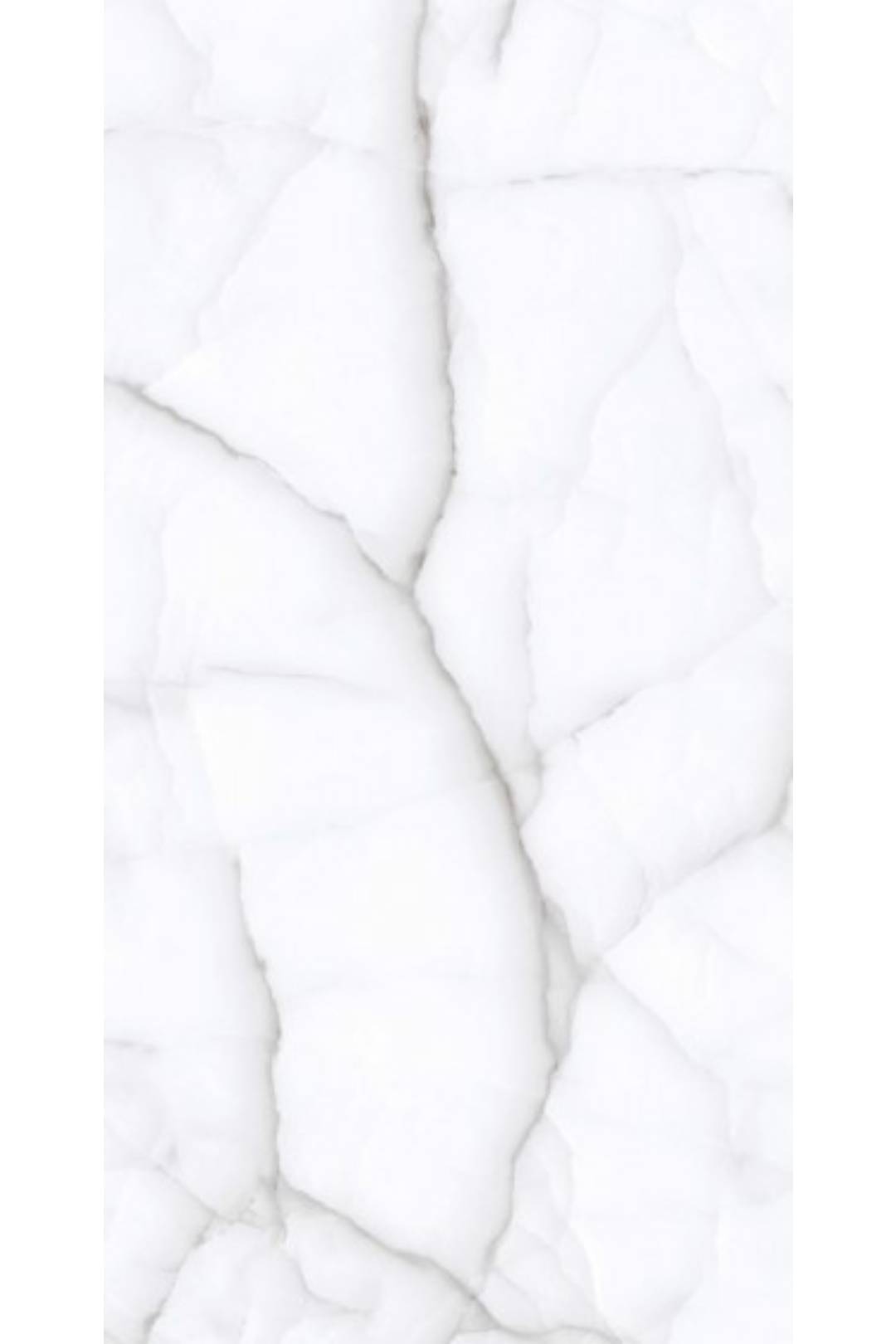 CAMRON SEPIYA WHITE